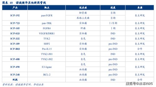 icp币的成长潜力如何,icp是什么币？