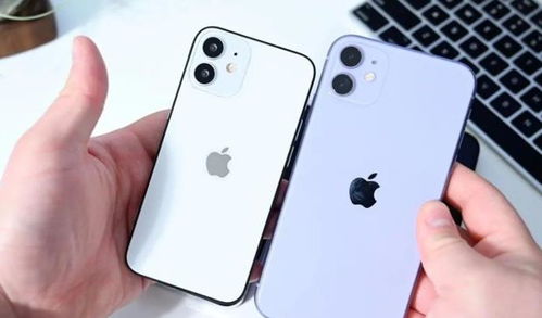 iPhone13消息传来,果粉暗自庆幸,幸好没买iPhone12