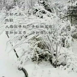 雪厚了,天更冷了 我这颗纠结的小心脏啊 