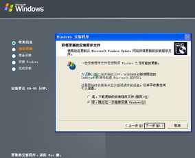 windows 服务器操作系统,功能、优势与适用场景