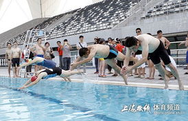 今日尾盘跳水，有什么情况吗