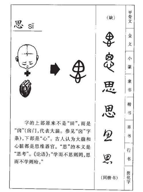 10个浓淡适中的带思字女孩名字,带你领略什么叫恢弘大气