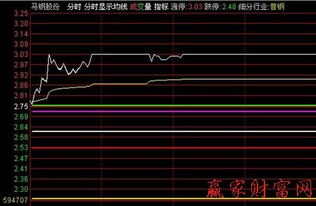 为什么股票栏没有了