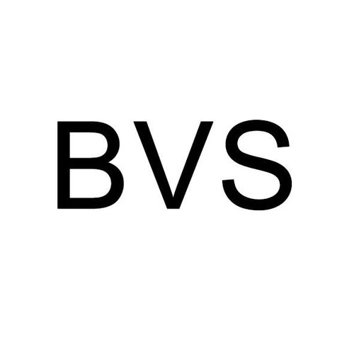 bvs虚拟币,引言:BVS虚拟币是什么? bvs虚拟币,引言:BVS虚拟币是什么? 融资