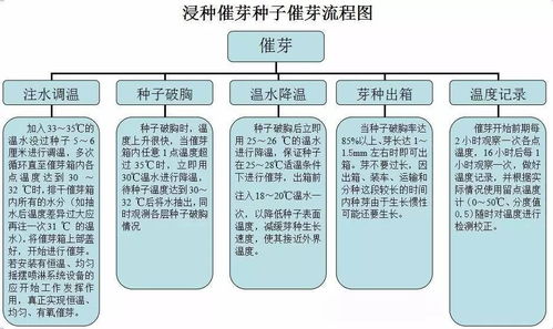 浸种催芽的注意事项,选择种子