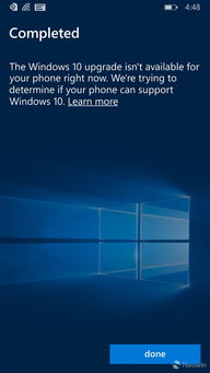 wp8.1用电脑升级win10