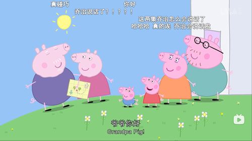 小猪佩奇动画片全集连续播放第一季