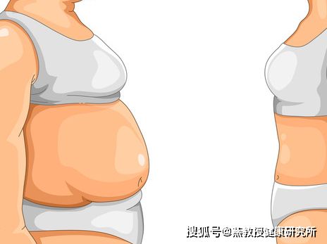 内脏脂肪左右对比 米粒分享网 Mi6fx Com