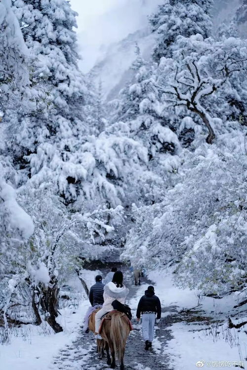 四姑娘山五一有雪吗