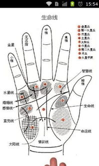 应用详情 应用宝官网 