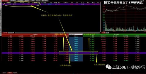  期权合约的要素包括,合同来源 交易所