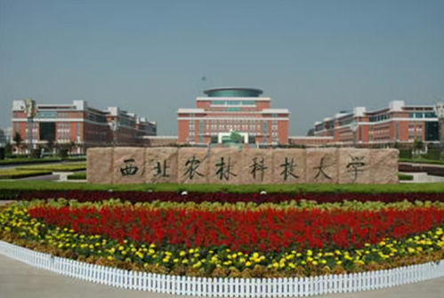 是上西北农林科技大学还是上大城市211 西北农林科技大学在哪个省