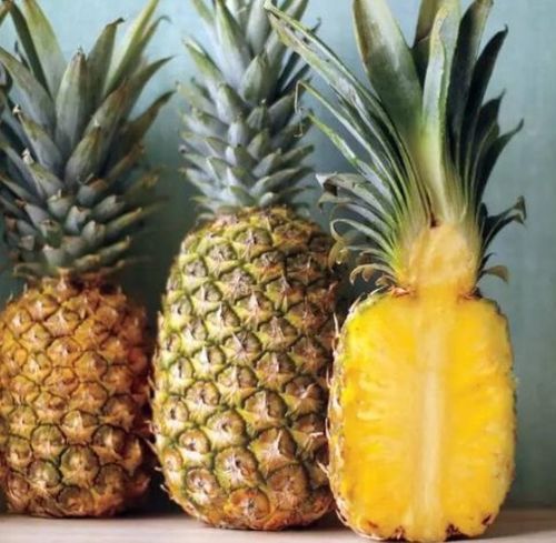 菠萝凤梨傻傻分不清 其实它们是同一种水果,只是有这3点不同