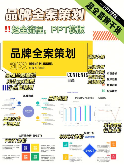 营销干货 品牌全案策划小白PPT全模版 