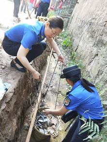 创文创卫齐参与 城乡环境大整治 