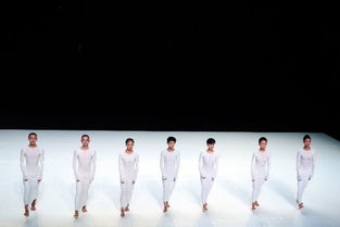 中国现代舞团献演国际舞蹈博览会 