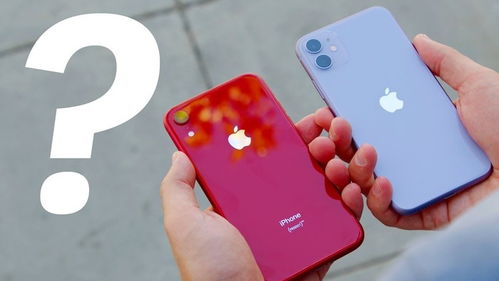 iPhone XR连续霸榜最畅销手机,iPhone 11竟然排第五