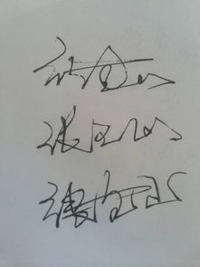 张全山签名字体,各种字体的写法图片 