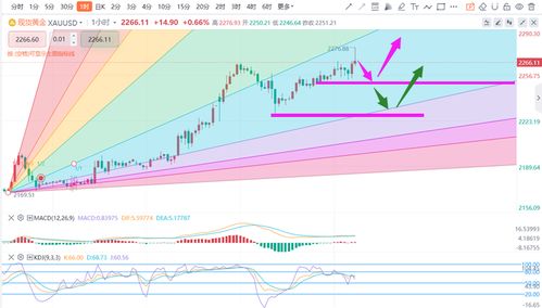  ssv币价实时行情分析,现在泰达币（USDT）多少钱一个了？哪里看最新行情价格？ 百科