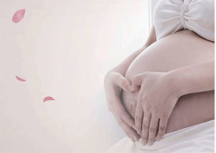 高龄怀孕试管婴儿：勇敢追梦，收获幸福  第3张