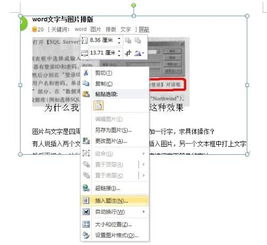 word文字与图片排版 