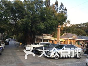 2020年北京植物园有免费停车场吗 (北京免费停车场的公园有哪些名字)