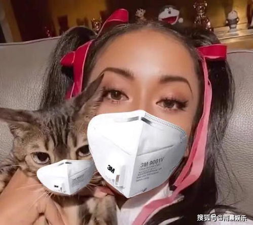 31岁女星给猫带口罩,网友 娱乐圈太大,啥样的 演员 都有