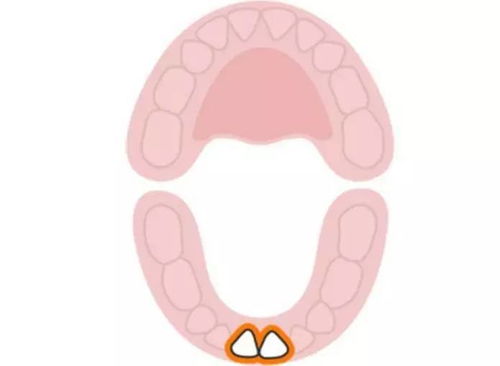 宝宝的出牙数量怎样算正常 长牙难受怎么办 长牙会发烧 你所了解的很可能并不正确 