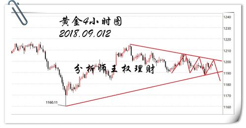  icp币市场前景分析最新,icp是什么币？ 区块链