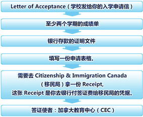 加拿大签证如何办理流程,了解加拿大签证