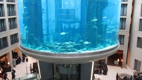 造价8600多万的鱼缸,高25米,养着3000条鱼,竟只是酒店一个装饰品 