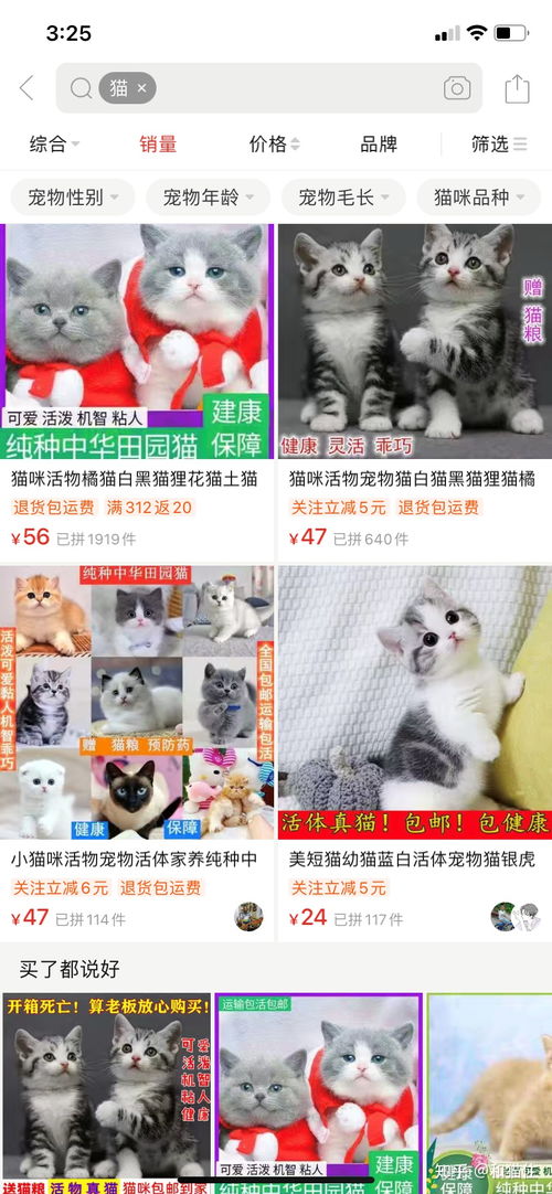  猫币100元一套,猫币的起源标签:猫币，历史 行情