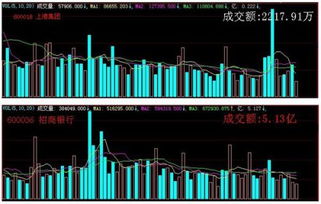 大智慧成交量现在显示为瞬时量，如何看成交总量？