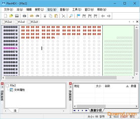 bin文件编辑器(FlexHEX Editor) 2.6