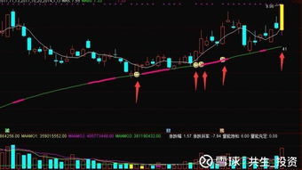 明年重组的钢铁板块中 请推荐几个被重组的股票 谢谢