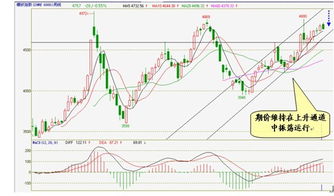 如何从基本面和技术面上分析华菱钢铁