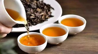 新鲜茶叶怎么保存