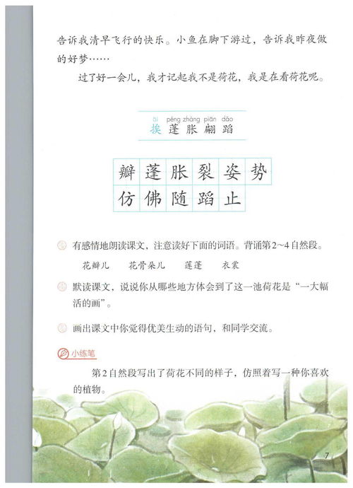 四川小学自考教材电子版,自考教材pdf百度云下载？(图2)