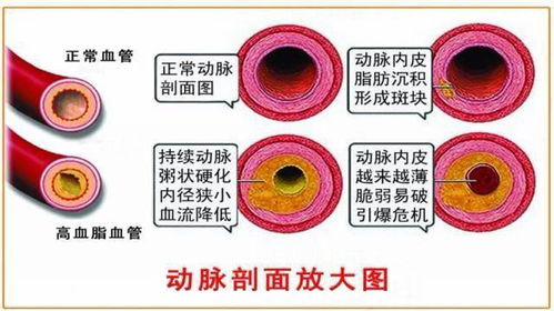 给新献浆员朋友的一封信