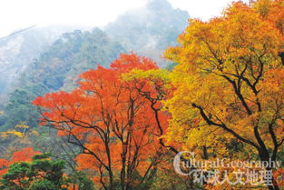 芦山大川河 不为人知的清幽古朴 3