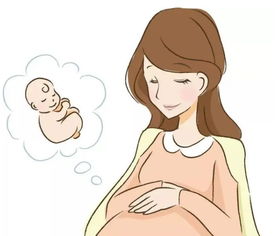 原创怀孕后，准妈妈最关心的4个问题，好多人可能都想了解