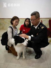 上海海关五一起执行宠物新政 符合条件可免于隔离检疫