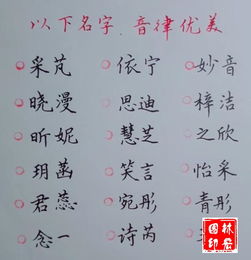 我国 同名同姓 最多的名字,叫这个名字的至少29万人