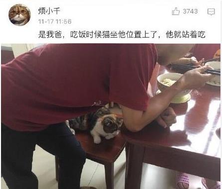 原来我是捡回来的,猫咪才是父母 亲生的