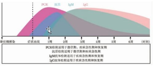 新冠病毒感染或接种疫苗后,血清IgM和IgG抗体的变化及应用