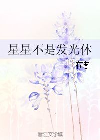 星星不是发光体 荷韵 