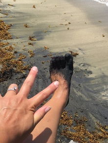 kaimu black sand beach,Geological Wonders