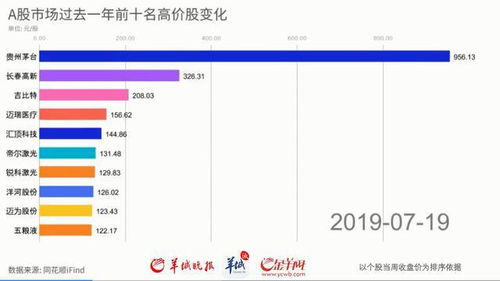 只有百分之十的股份可以查看公司帐目吗