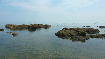 海边 退潮 风平浪静