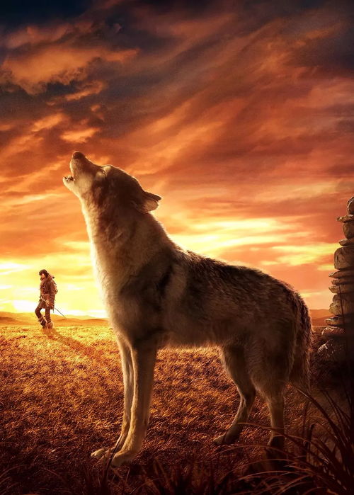 电影狼伴归途,电影狼伴归途是一部动人心魄的冒险故事,讲述了两个截然不同的角色在残酷的荒野中求生的经历